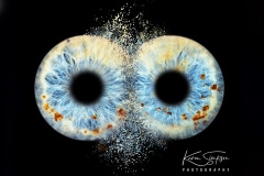 A-Pair-Of-Eyes-Iris-Photography