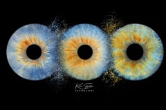 Collison-three-row-Iris-eyes